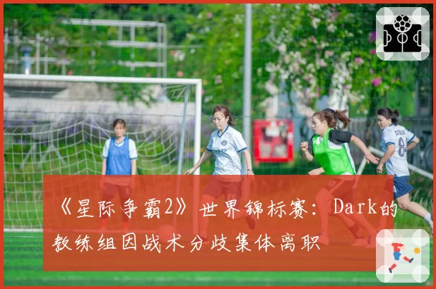 《星际争霸2》世界锦标赛:Dark的教练组因战术分歧集体离职